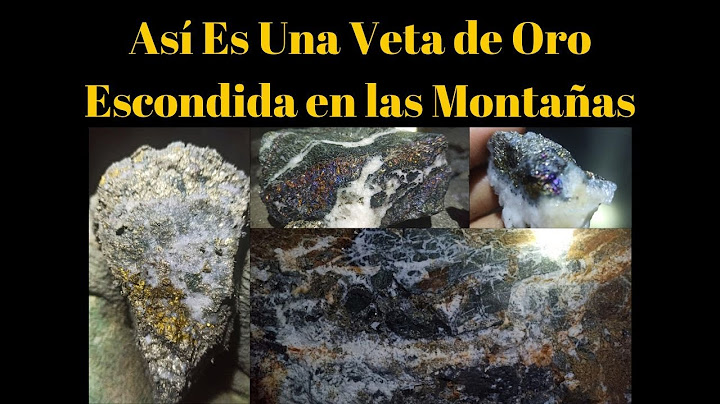 Una veta de Oro. ¡Así es como se ve una gran Veta de Oro escondida en las montañas!