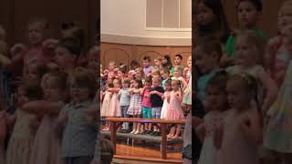 Stella spring spring 2019 NB - song 6
