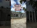 Manzanillo tendrá el primer Centro de Bienestar Animal del estado. 🐾