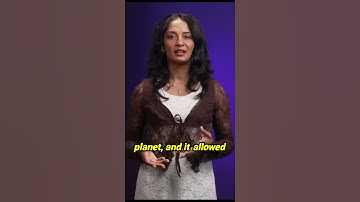 Scientists Watch Basalt Columns Form in Real Time