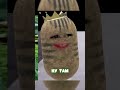 твич: BanshaMeow #ruvtuber #vtuber #banshameow #sledovatelshorts