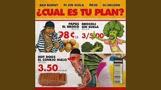 Bad Bunny, Ñejo, PJ Sin Suela - ¿Cuál Es Tu Plan? (Audio) ft. DJ Nelson