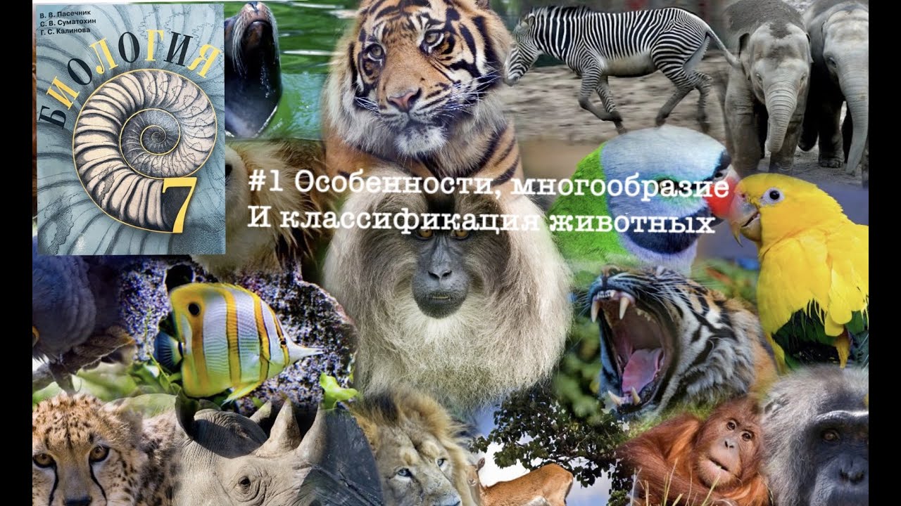 Биология 7 класс (Пасечник) Аудио Параграф 1 - YouTube