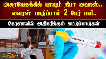 அசுரவேகத்தில் பரவும் நிபா வைரஸ்.. வைரஸ் பாதிப்பால் 2 பேர் பலி.. | Nipah Virus | Kerala