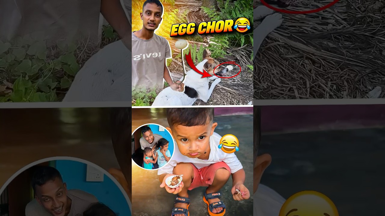 Latest Title & Thumbnail