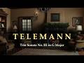 Telemann — Trio in G Major, TWV 42:G1 (No. 3 of the Six Trios) | Cozy Baroque Salon | Pillow Fort