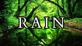 Blissful Rainfall: 10 Minutes of Tranquil Nature Sounds for Relaxation and Sleep