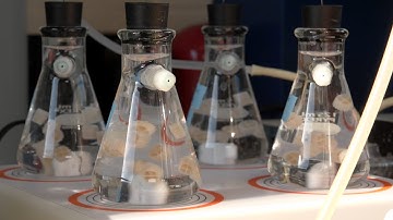 Extreme Engineering with Kartik Chandran: A New Generation of Environmental Engineers