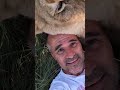 LION GREETING | The Lion Whisperer