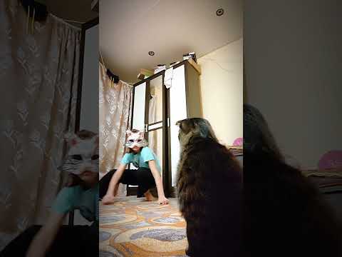 #териантропия #квадробика - YouTube
