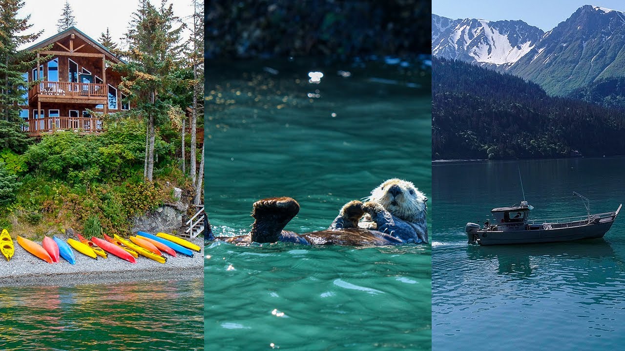 BAYLINK Explore Homer Alaska by Landing Craft! (ft. Capt. Joel) YouTube