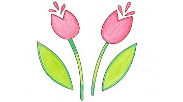 How to Draw Two Tulips | Easy Flower Drawing Step-by-Step for Beginners