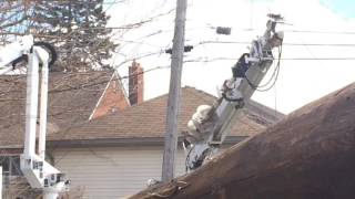 DTE hopes to have 200,000 more with power restored today
