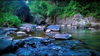 Beautiful Mountain River With Nature River Sounds For Relaxing  ASMR River Sounds For Stress
