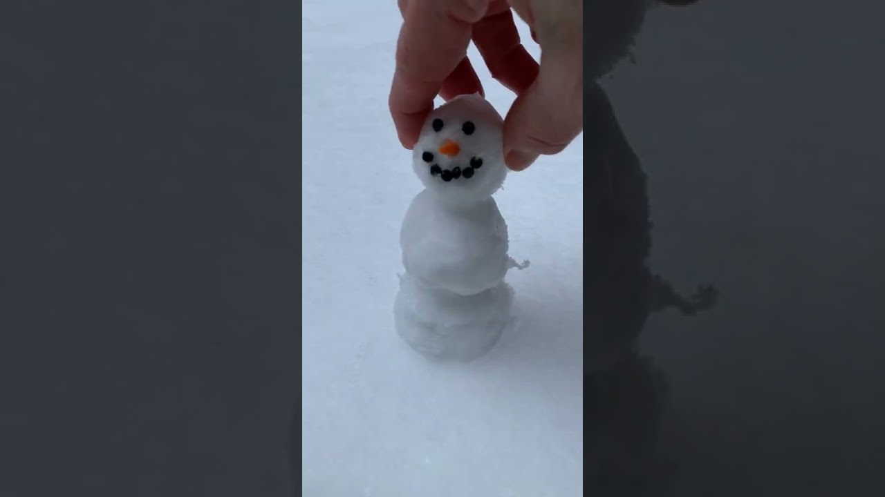 Mini Snowman - How to Build a REAL Tiny Snowman ❄⛄ 