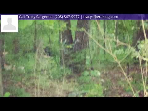 610 Old Coal City Rd, Pell City, AL home video tour