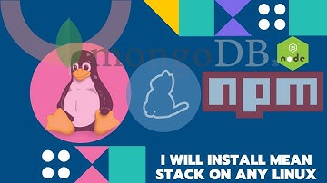 I will Install MEAN STACK on any Linux