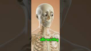 What Happens When You Can’t Stop Hearing #facts #science #anatomy #animation