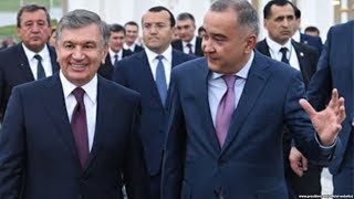 Мирзиёев назарига тушган корчалон таълим тизимига ҳам кираяпти