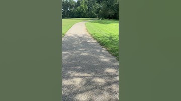 E-flite Apprentice 1.3m STS rc plane crash