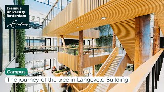The Journey Of The Tree In Langeveld Building - Campus Woudestein