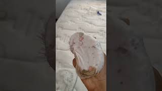 Limpeza No Meu Quarto