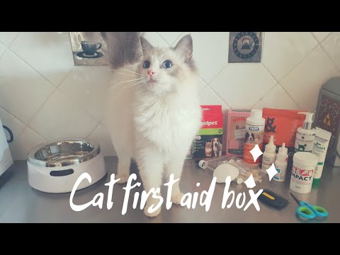 Video: Cat First Aid Kit