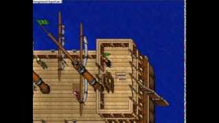 Tibia