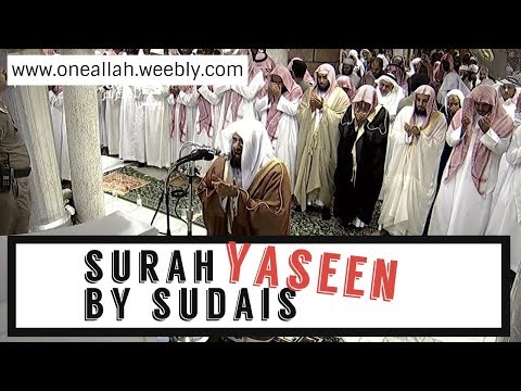 surah-yaseen-i-sudais