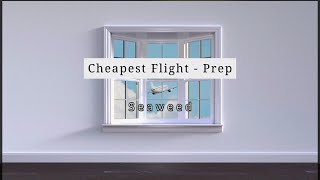 Prep - Cheapest Flight (Covers 02) screenshot 5