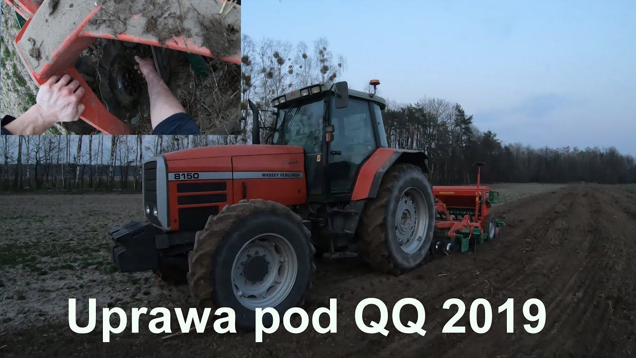 Mieszanie Obornika Pod Siew Uproszczony Kukurydzy 2019/AgroMasz/MF 8150