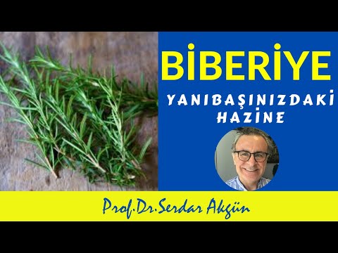 Video: Tıbbi Biberiye