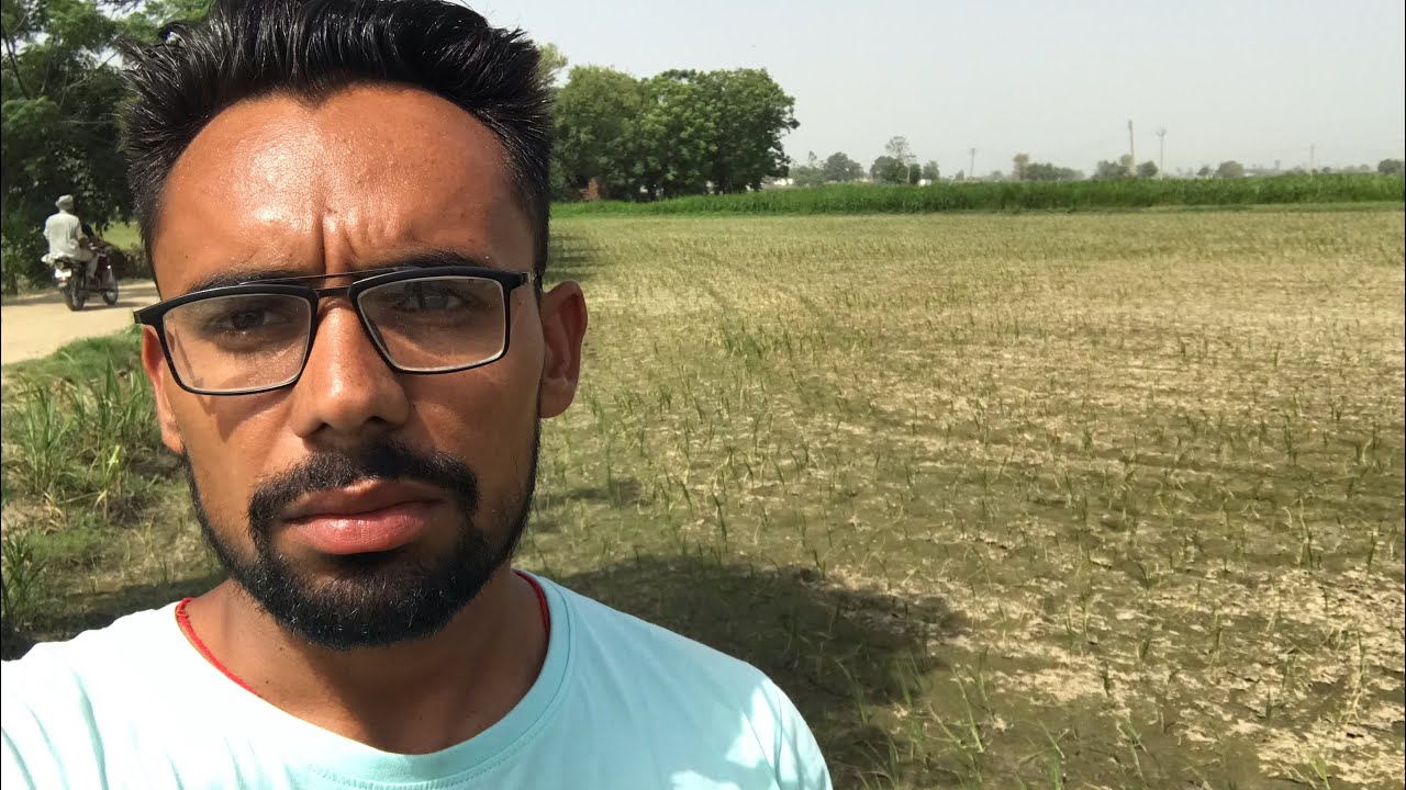 ਸੁੱਕਗੀ ਜੀਰੀ ਦੱਸੋ ਵਾਹ ਦਈਏ Punjabi Farmer Benipal Jattz