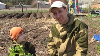 Пастернак. Как повысить потенцию, простой способ, ешьте пастернак. Пастернак. Как повысить потенцию, простой способ, ешьте пастернак.