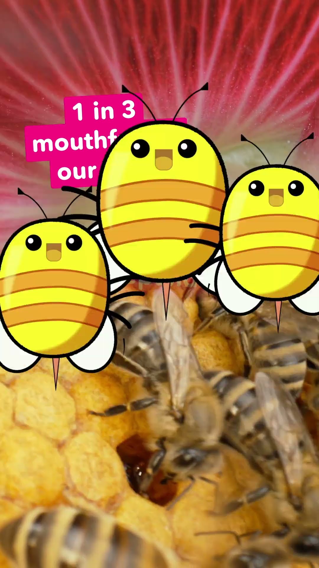 WOW: Bees are Amazing | Climate Champions | Cartoon Network UK | #shorts #CartoonNetwork #Wildlife