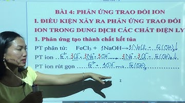 4. Phản Ứng Trao Đổi Ion Trong Dung Dịch Các Chất Điện Li | Hóa Học 11