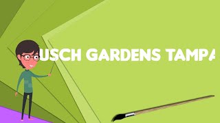 What is Busch Gardens Tampa?, Explain Busch Gardens Tampa, Define Busch Gardens Tampa