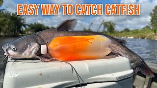 Easy Way to Catch CATFISH for Dinner (CATCH AND COOK)
