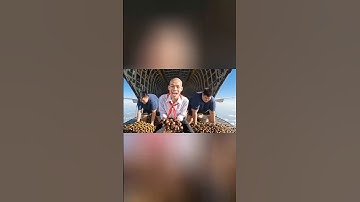 Hùng trọc, Tí Béo troll Capybara bằng cách thả một tỉ quả thối xuống trường học #capybara