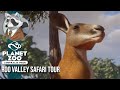 Roo Valley Safari Tour | Australian DLC | Planet Zoo