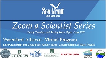 Zoom a Scientist: A fish