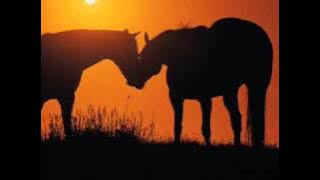 Dan Seals - You Still Move Me