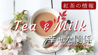 【ミルクティー入門】鍋不要で気軽に作ろ♪ロイヤルミルクティー&マサラチャイ[Tea vlog]ねね茶#25