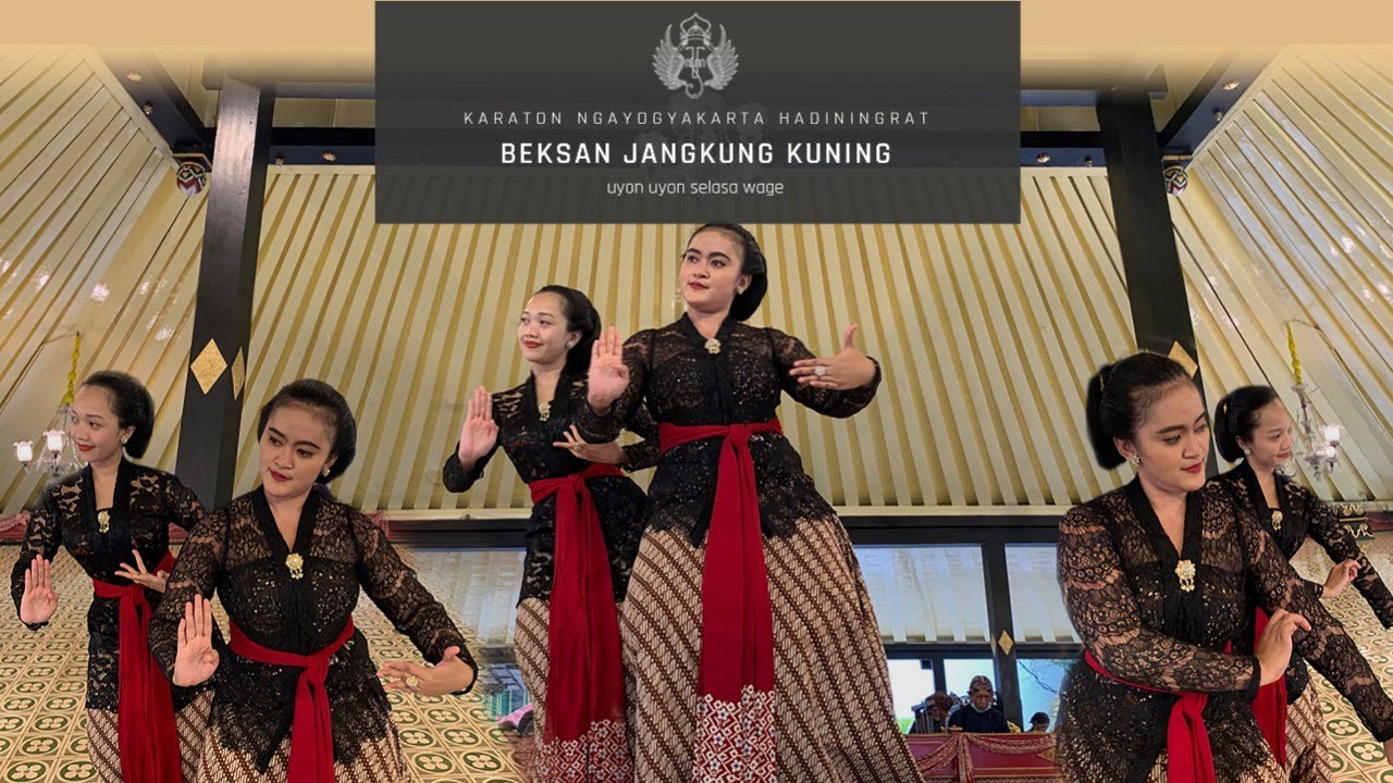 Ilon bilan ekzotik porno Anally impaled ustidan bir kamming dildo