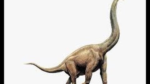 Dinosaur || Brachiosaurus long Neck Dinosaur || 3D Model  ||HD