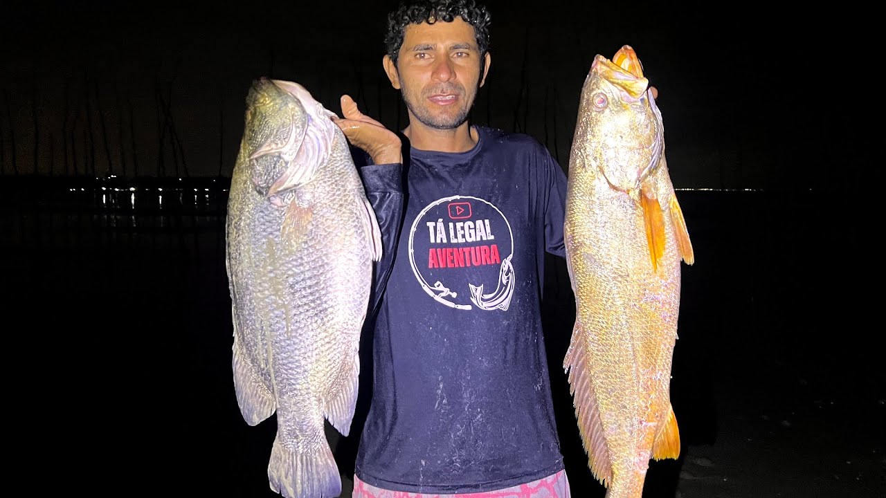 SÓ PEIXE GIGANTE NA PESCA DE HOJE.