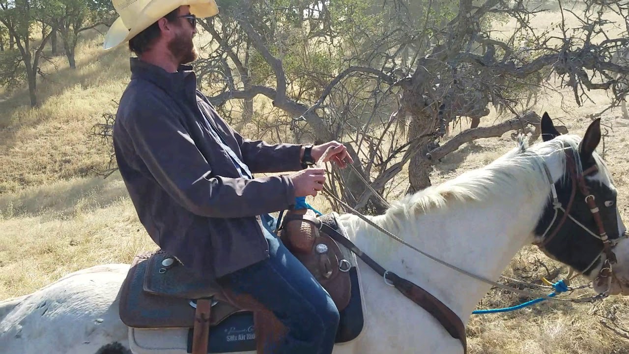 We participate in a cattle drive at V6 Ranch in Parkfield California ...