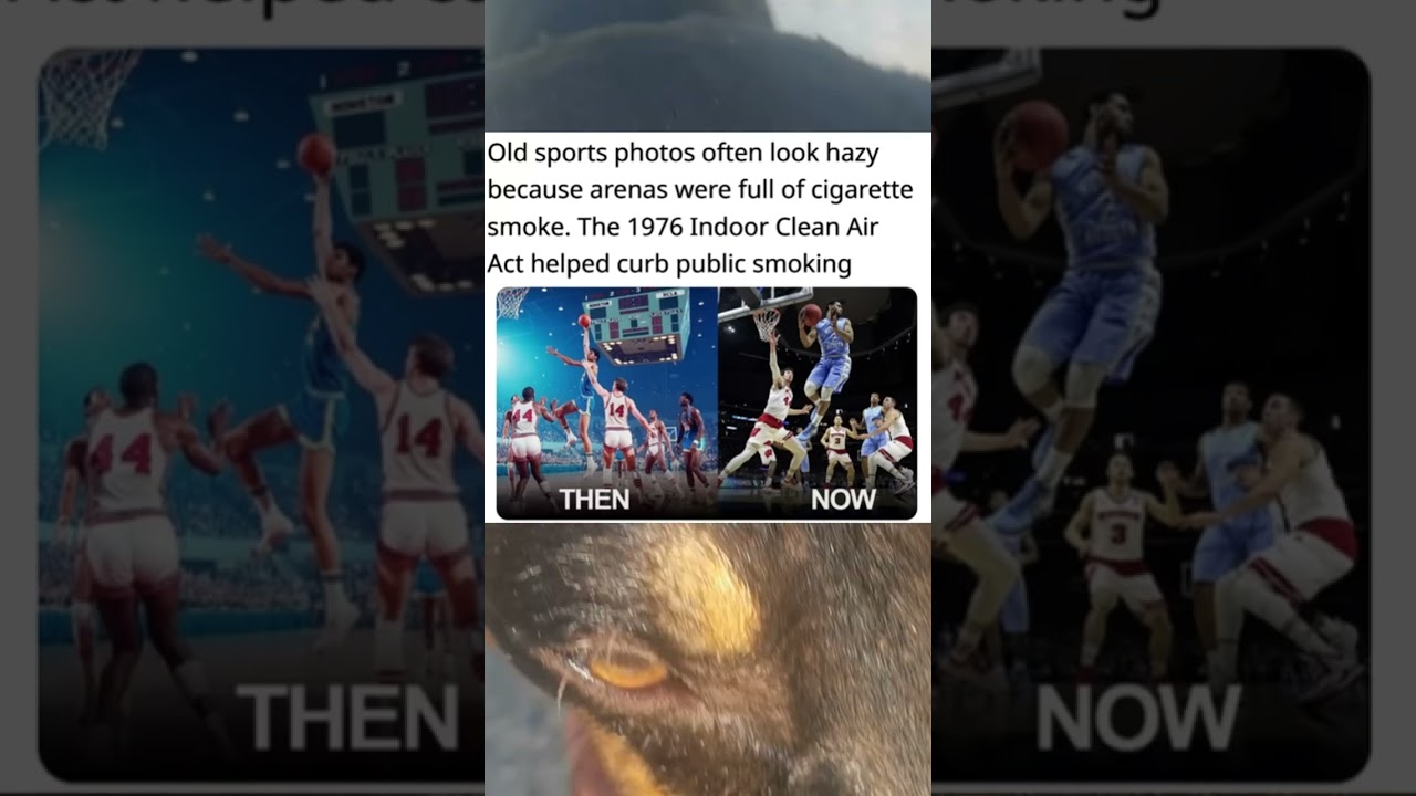 replicate cigarette smoke sports photos the blue haze in old indoor is largely due to smoke, which was common in arenas before major smoking bans. the would accumulate, creating a visible mist that Why the iconic blue haze