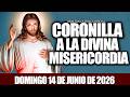 CORONILLA A LA DIVINA MISERICORDIA DE HOY DOMINGO 14 DE JUNIO DE 2026❤️🔥SANTO ROSARIO DE HOY✝️