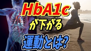 運動するとHbA1cが下がる！血糖値を下げる筋トレとは？糖尿病・腎臓病の予防や食事の改善にも効果あり【ノレッジPlus】